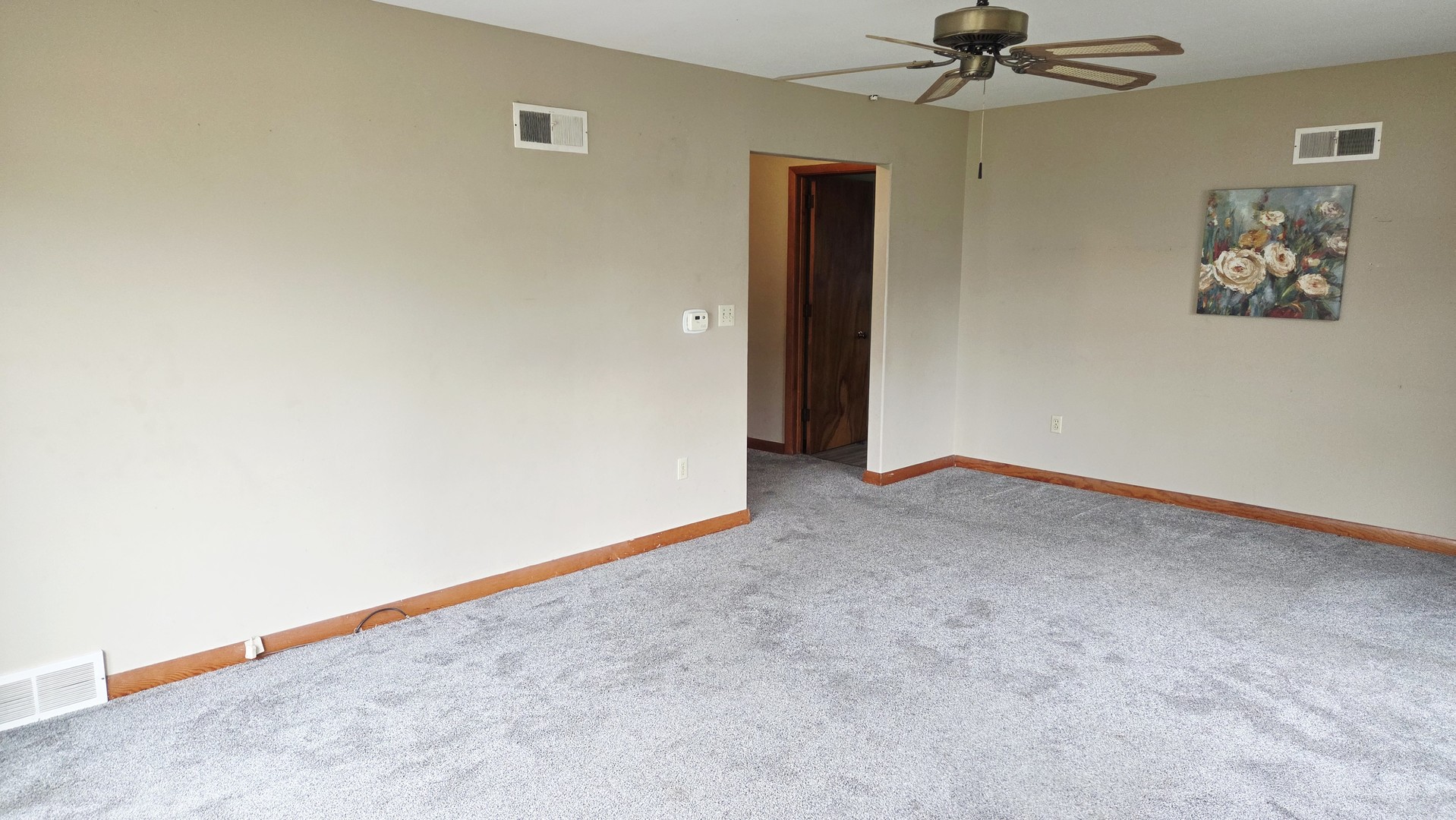 103 South Plum Street Princeton, IL 61356 - Photo 9 of 47