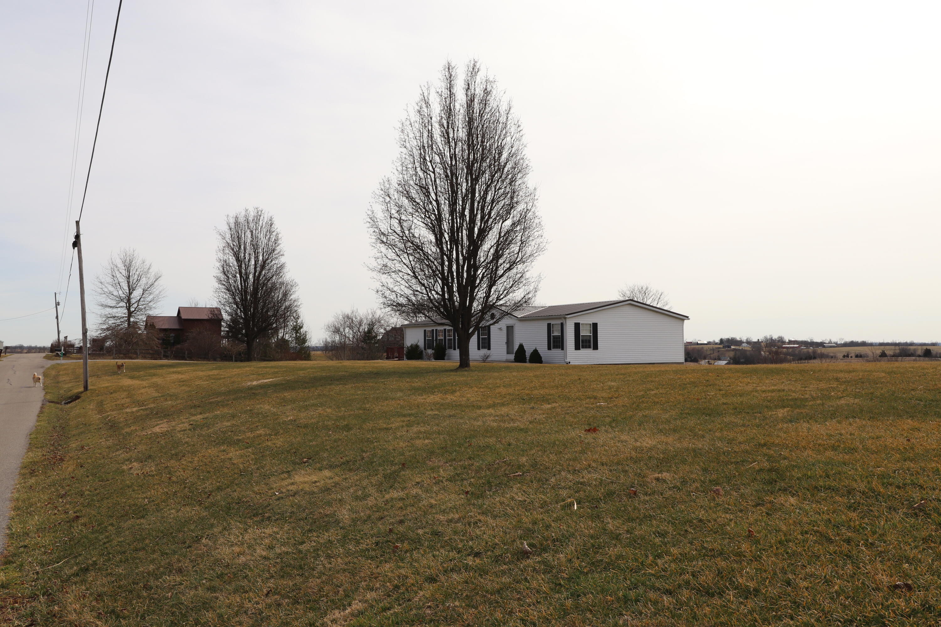 378 Norris Road Butler, KY 41006 - Photo 42 of 50 Gallery Image 42