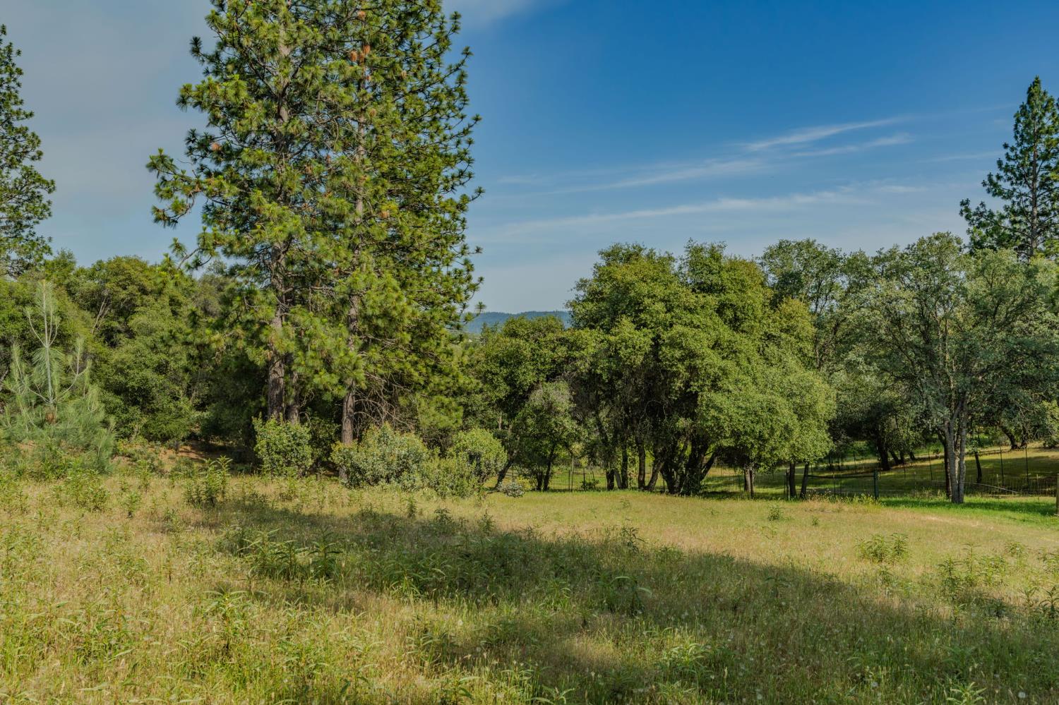 6216 Trout Lane Mountain Ranch, CA 95246 - Photo 12 of 39 a view of yard with green space