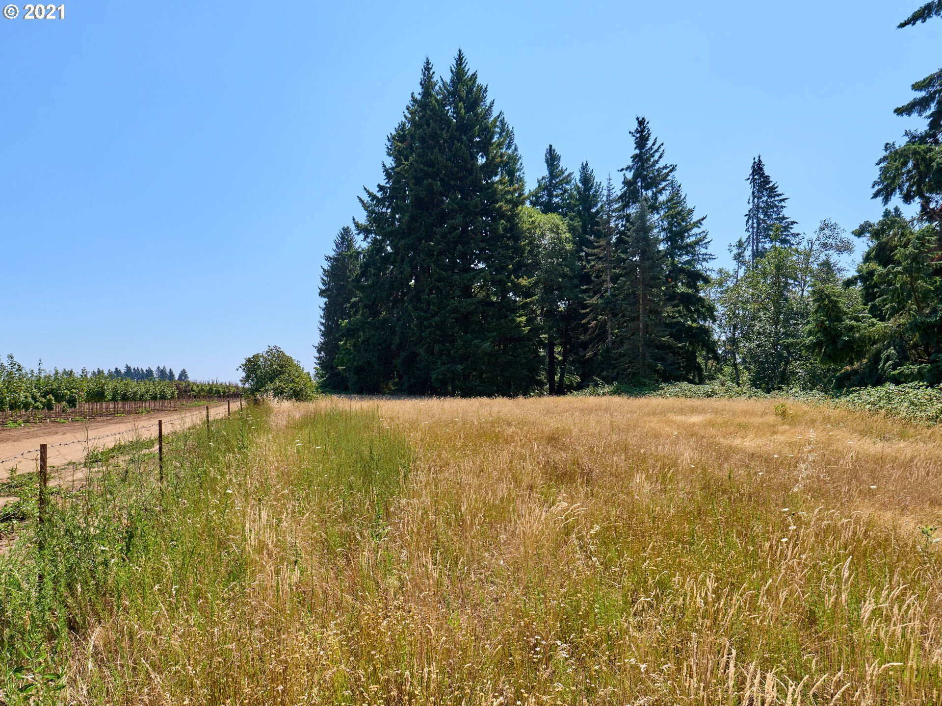 26451 South Barlow Road Canby, OR 97013 - Photo 31 of 32 Gallery Image 31