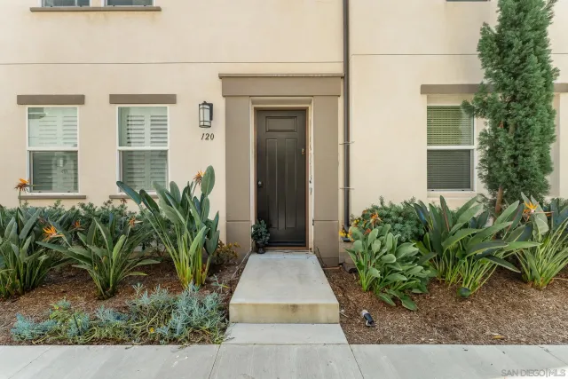 a view of a potted plants next to a building
