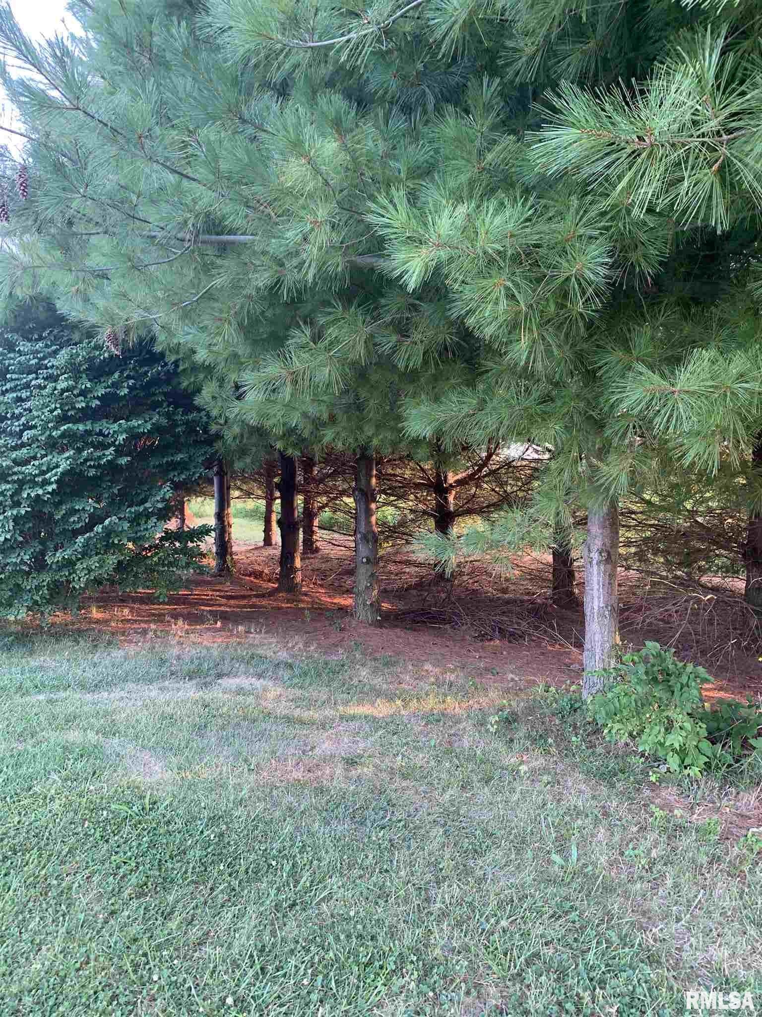 10109 South Kingston Mines Road Mapleton, IL 61547 - Photo 19 of 22
