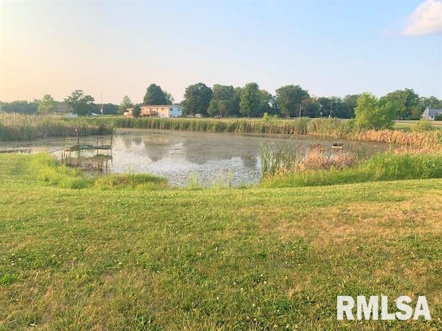 10109 South Kingston Mines Road Mapleton, IL 61547 - Photo 5 of 22