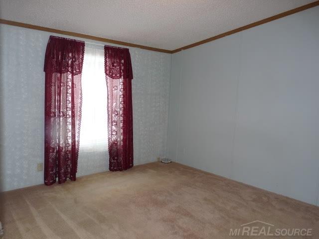 7067 Sayles Road Yale, MI 48097 - Photo 9 of 13