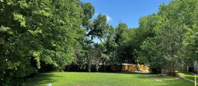 a view of a trees in a yard