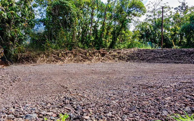 $48,000 | 15-2787 Opelu Street, Pahoa, HI 96778