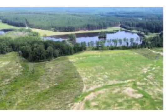 0 Laughlin Loop Aiken, SC 29805 - Photo 1 of 1