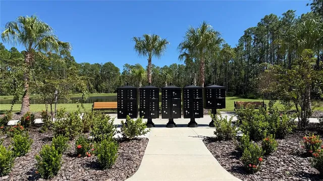 a park view with a slide