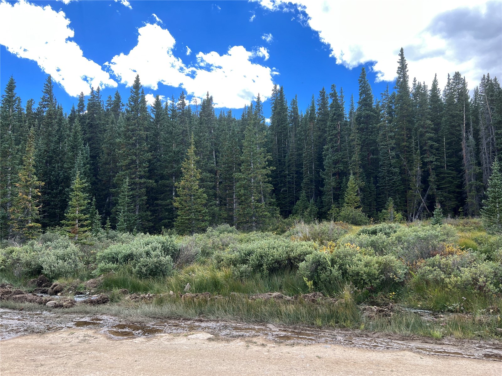 0 Cliff's Way Alma, CO 80420 - Photo 2 of 10 Gallery Image 2