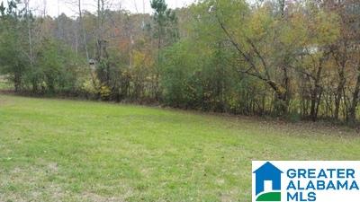 578 Browns Valley Road Pell City, AL 35128 - Photo 24 of 25