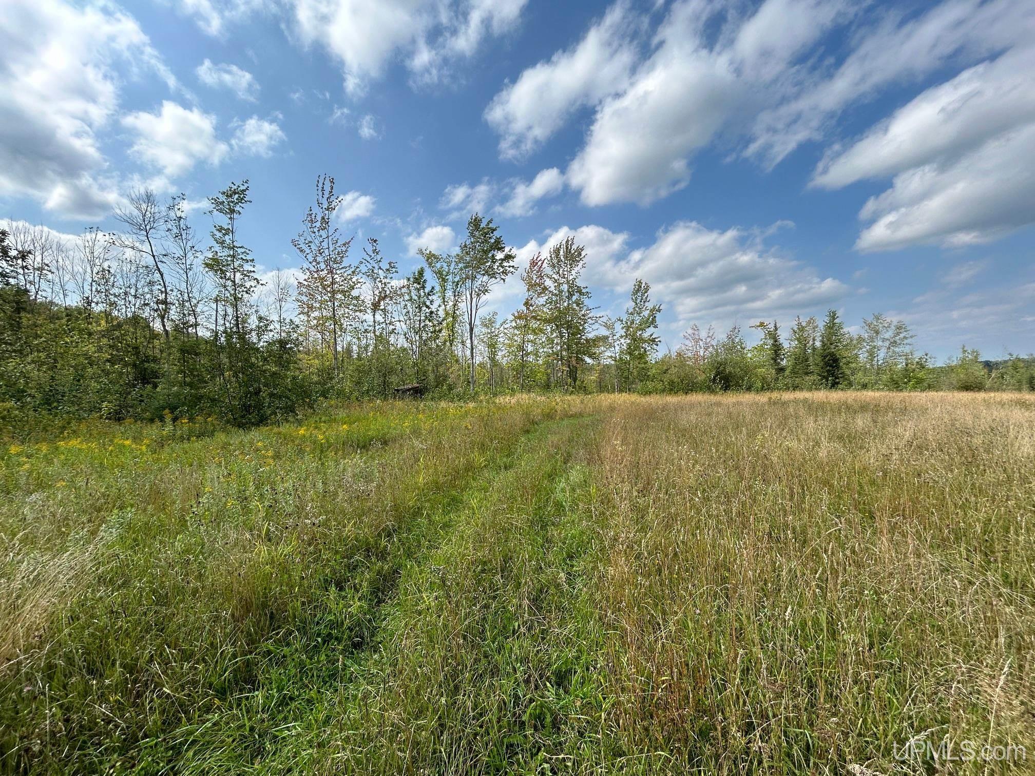 15512 Taylor Road Bruce Crossing, MI 49912 - Photo 36 of 39 Gallery Image 36