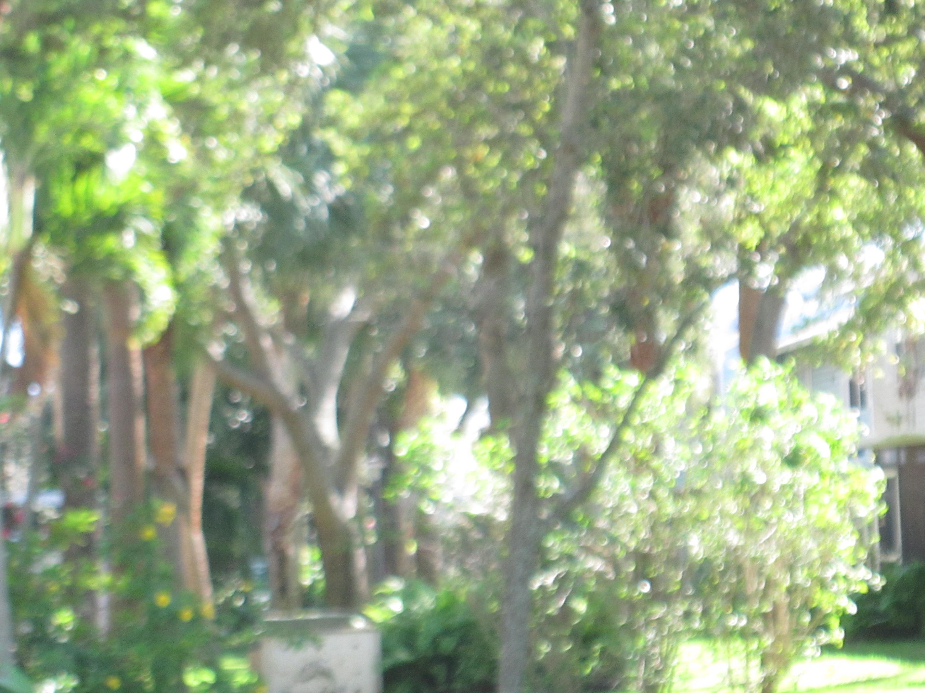 69 Southwest 3rd Street Pompano Beach, FL 33060 - Photo 19 of 21 104 - Copy