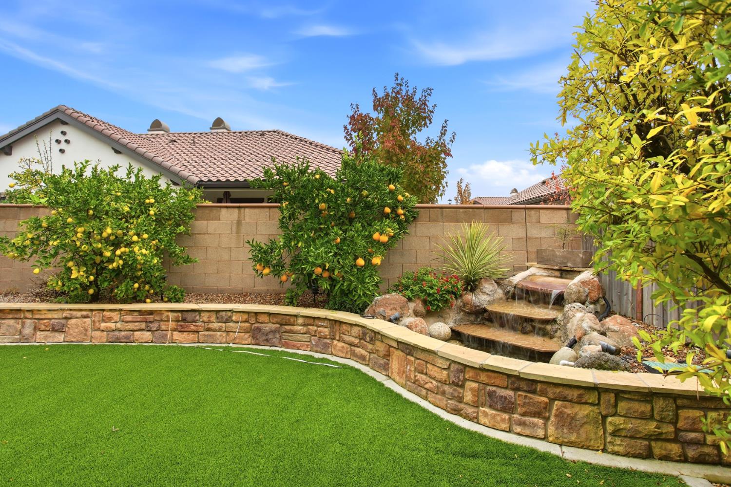 9729 Allen Ranch Way Elk Grove, CA 95757 - Photo 35 of 36 a view of a lake with a garden in front of it