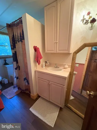 a view of river and trees in the background