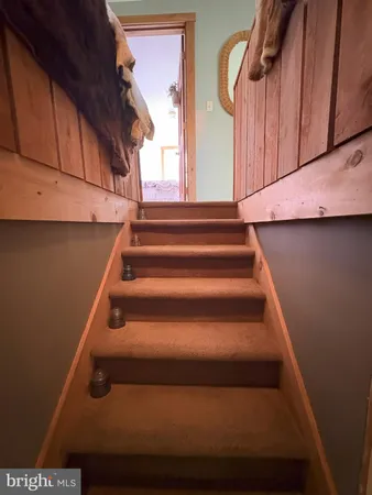 a view of a backyard with a large tree