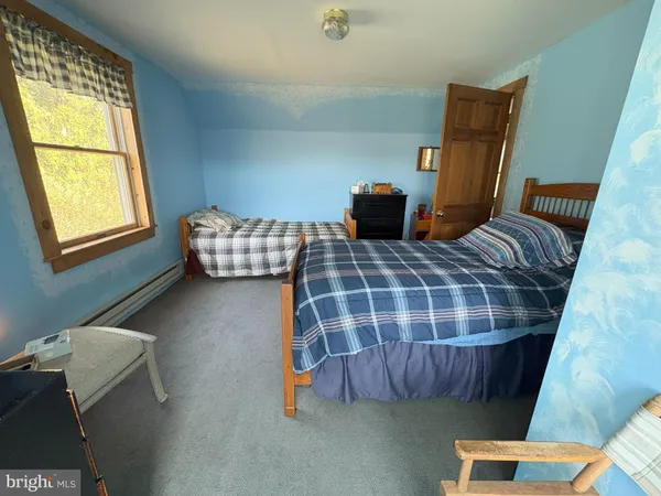 a view of a yard with an trees