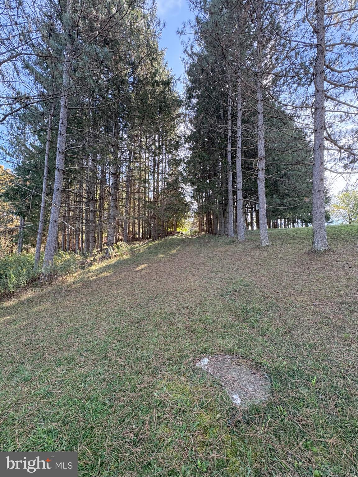 43 Songbird Way Galeton, PA 16922 - Photo 58 of 73 a view of a field with trees in the background
