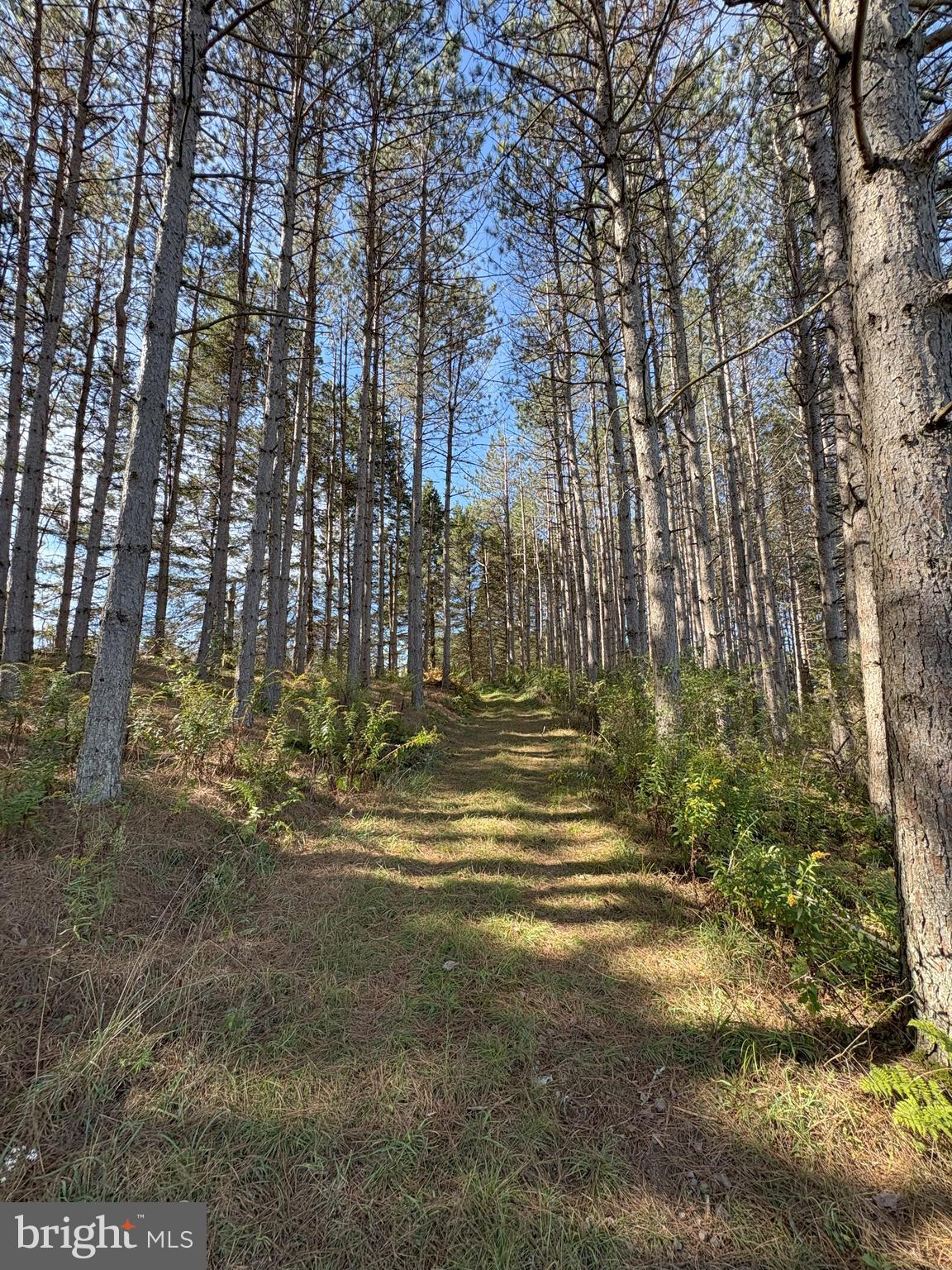 43 Songbird Way Galeton, PA 16922 - Photo 60 of 73 a view of water with trees