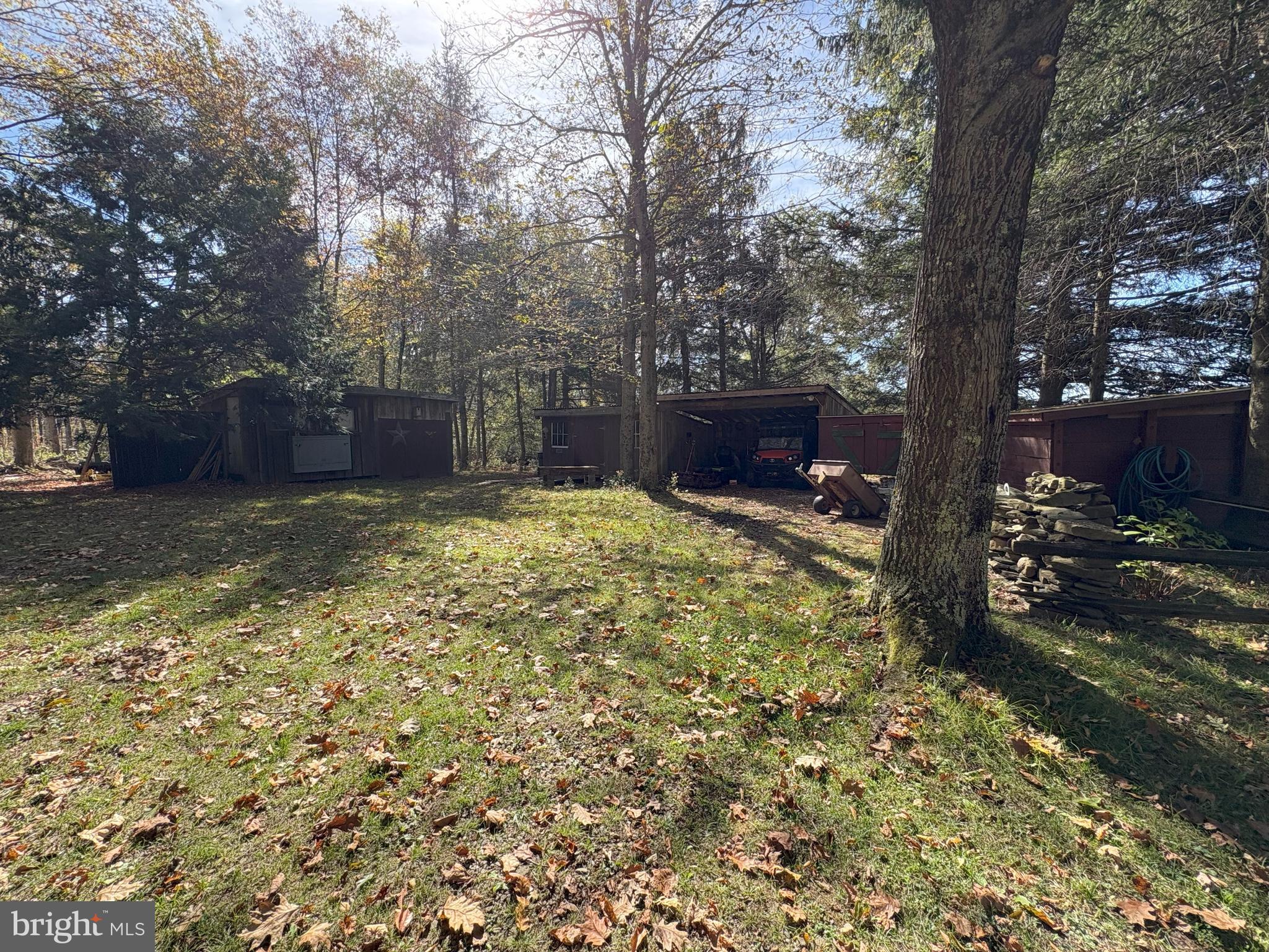 43 Songbird Way Galeton, PA 16922 - Photo 69 of 73 a view of a backyard with a large tree