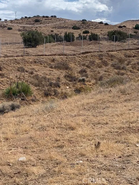 2 Rough Palmdale, CA 93550 - Photo 13 of 22 a view of a dry yard with trees