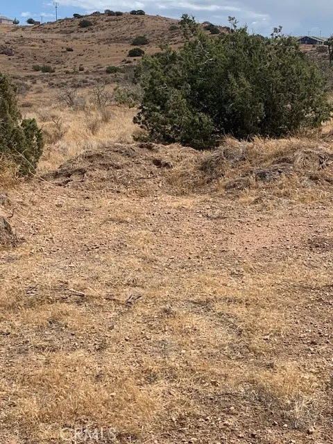 2 Rough Palmdale, CA 93550 - Photo 20 of 22 a view of a dry yard