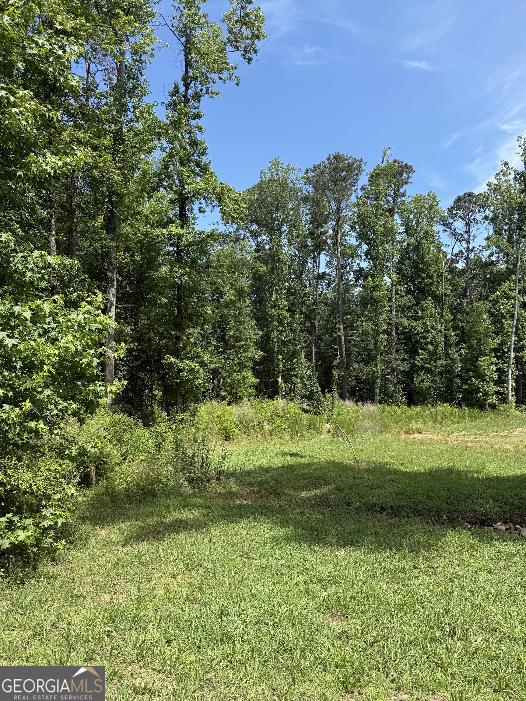 1665 Piedmont Road Griffin, GA 30224 - Photo 4 of 6