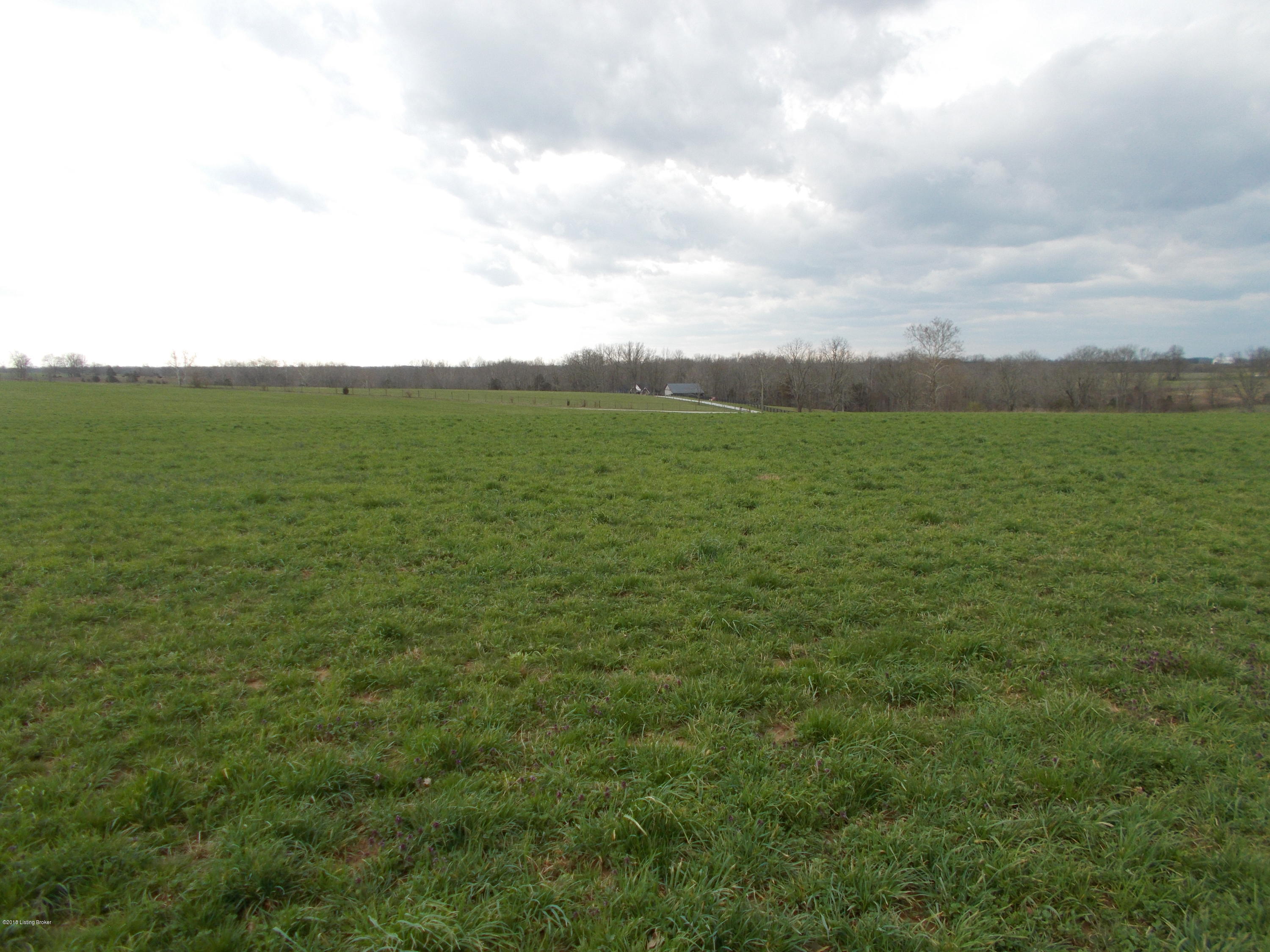 494 Mt Gilead Road New Castle, KY 40050 - Photo 9 of 11 DSCN0169