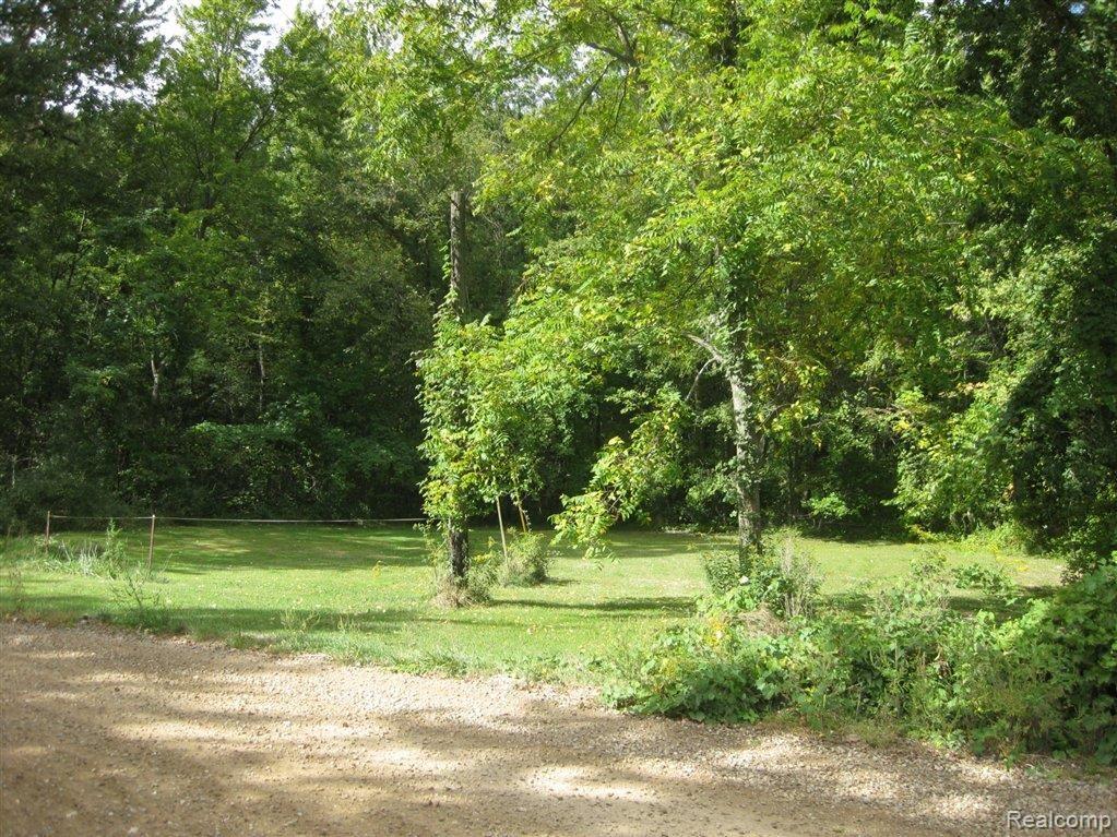0 Channel Drive Pinckney, MI 48169 - Photo 3 of 5 001.JPG