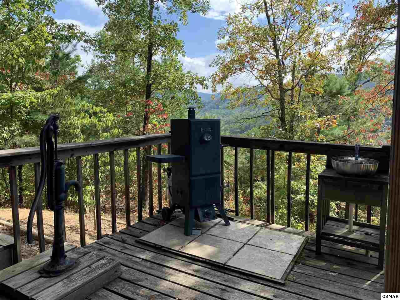 4079 Ridgeback Lane Sevierville, TN 37862 - Photo 8 of 28