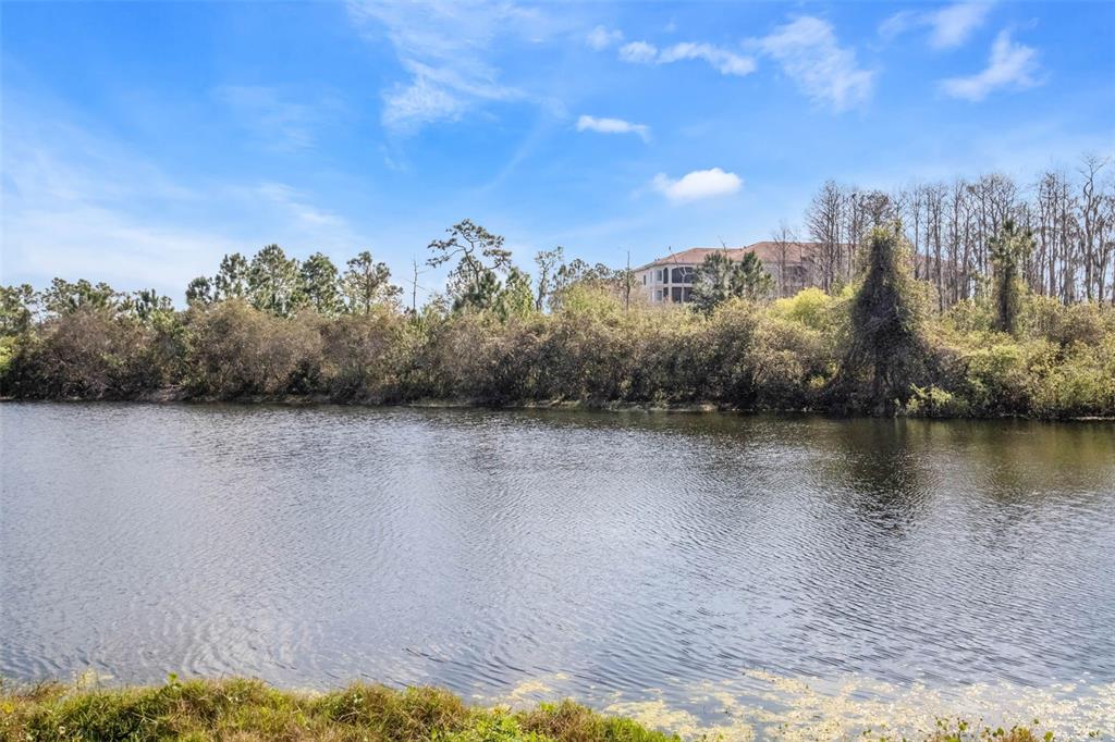 8801 Worldquest Boulevard, Unit 4108 Orlando, FL 32821 - Photo 51 of 85