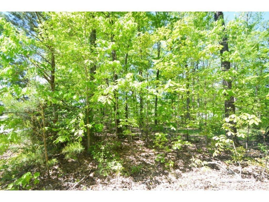 0 Timber Ridge Lake Road Liberty, NC 27298 - Photo 1 of 10 Photo 1