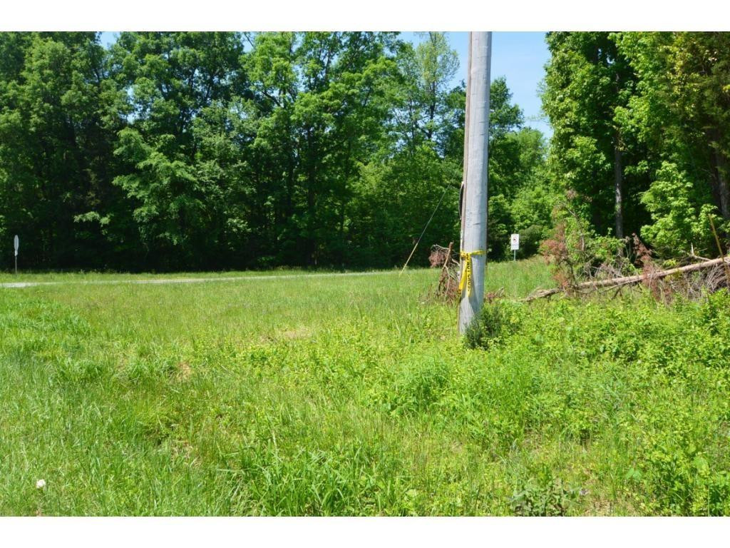 0 Timber Ridge Lake Road Liberty, NC 27298 - Photo 4 of 10 Photo 4