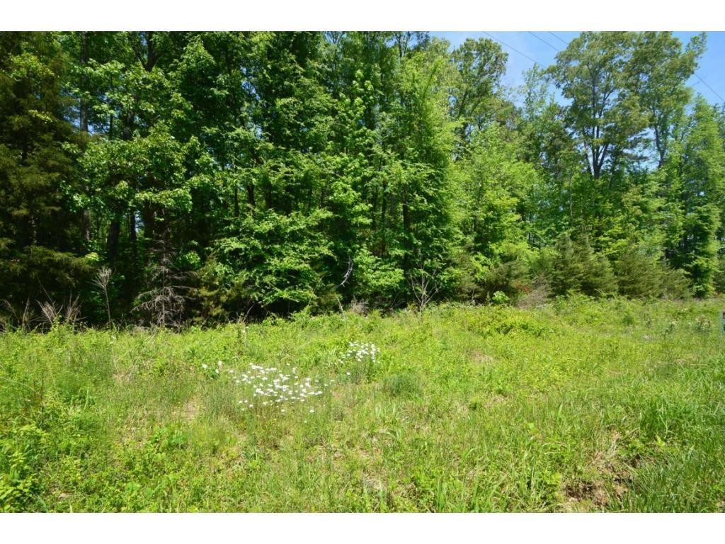 0 Timber Ridge Lake Road Liberty, NC 27298 - Photo 5 of 10 Photo 5