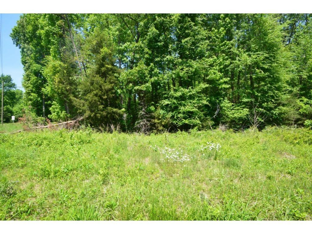0 Timber Ridge Lake Road Liberty, NC 27298 - Photo 6 of 10 Photo 6