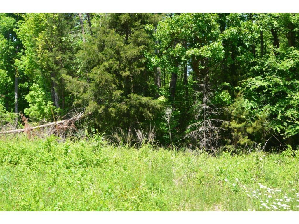 0 Timber Ridge Lake Road Liberty, NC 27298 - Photo 8 of 10 Photo 8