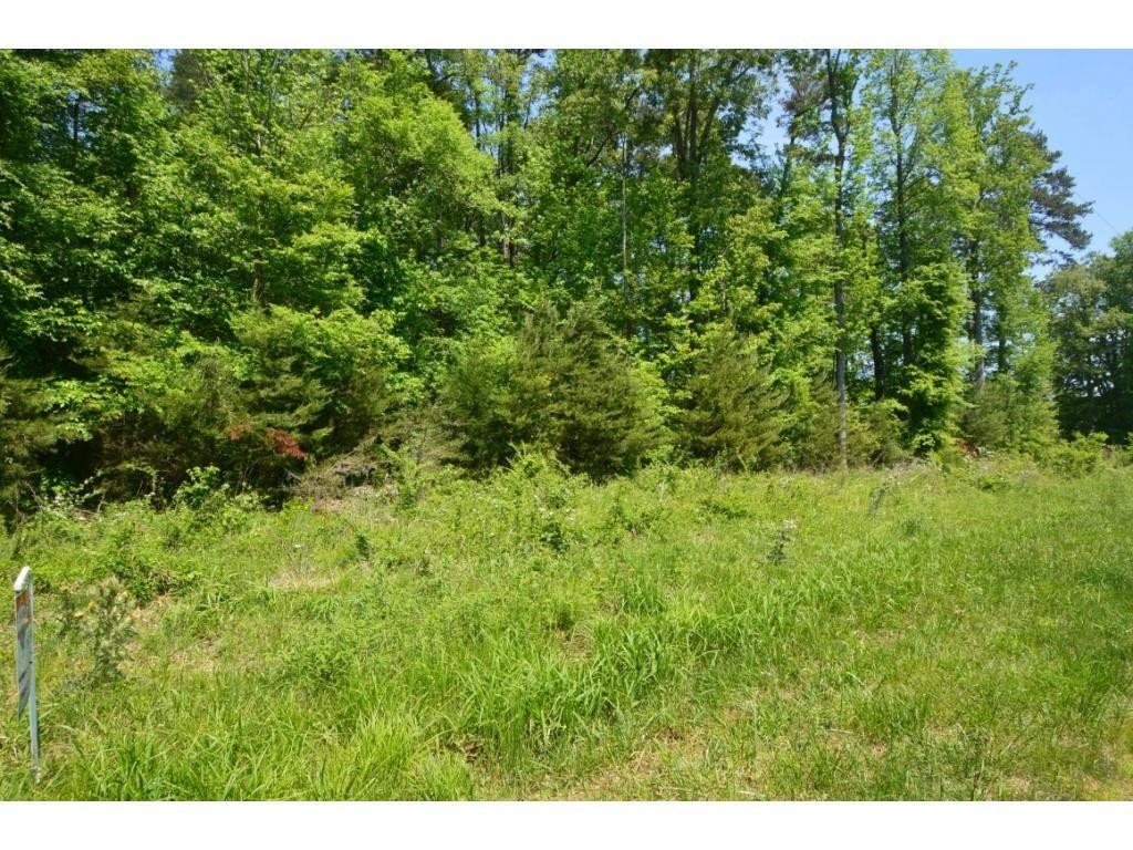 0 Timber Ridge Lake Road Liberty, NC 27298 - Photo 10 of 10 Photo 11