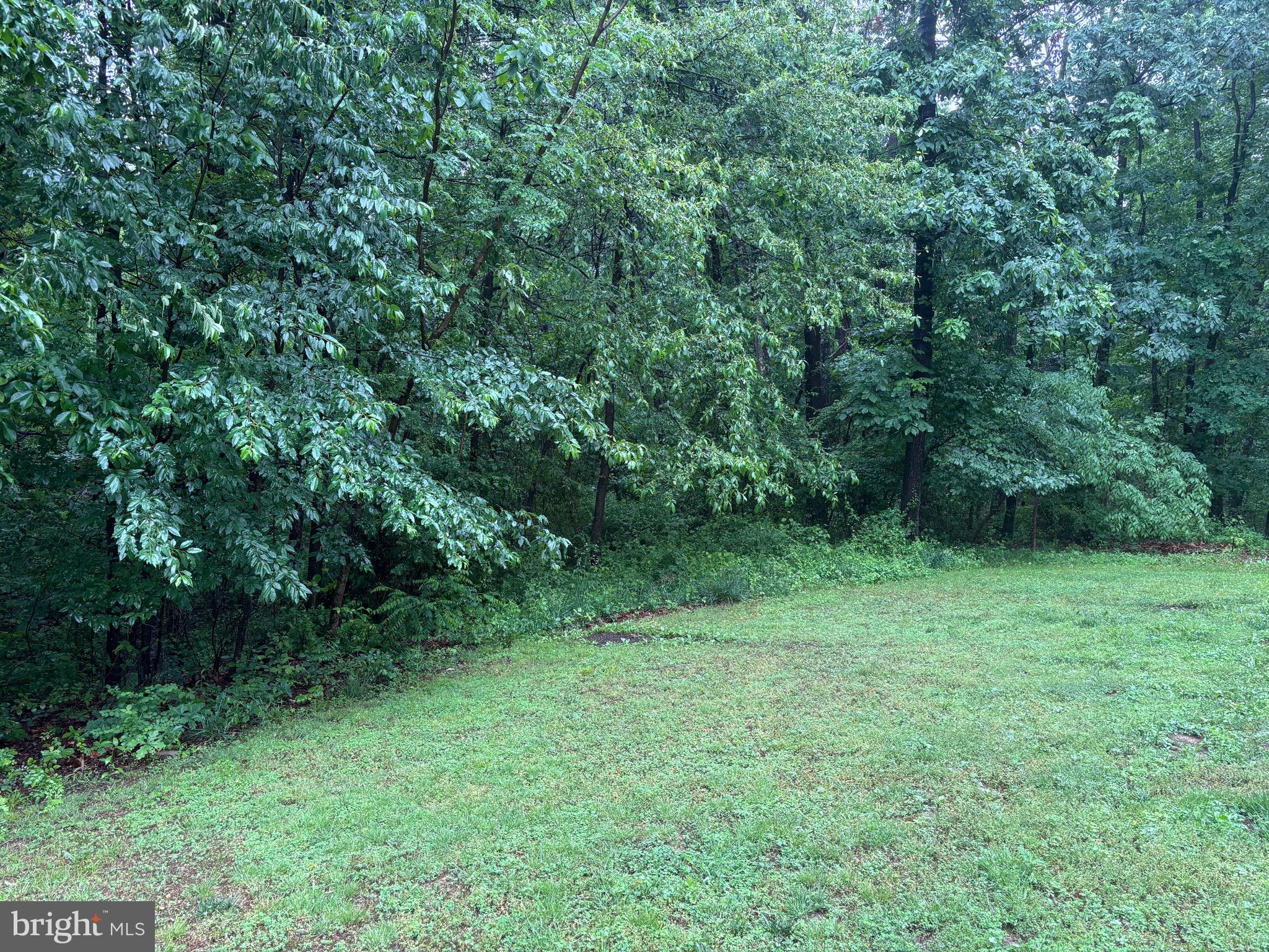 8964 Jersey Mountain Road Points, WV 25437 - Photo 4 of 34