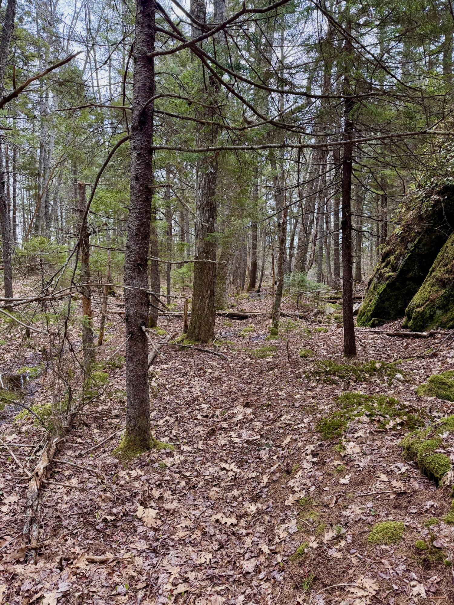 Lot 85 Pension Ridge Road Boothbay, ME 04537 - Photo 2 of 4 IMG_9342