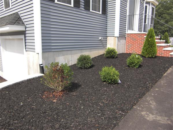 90 Mink Run Road Wilmington, MA 01887 - Photo 10 of 12 Gallery Image 10