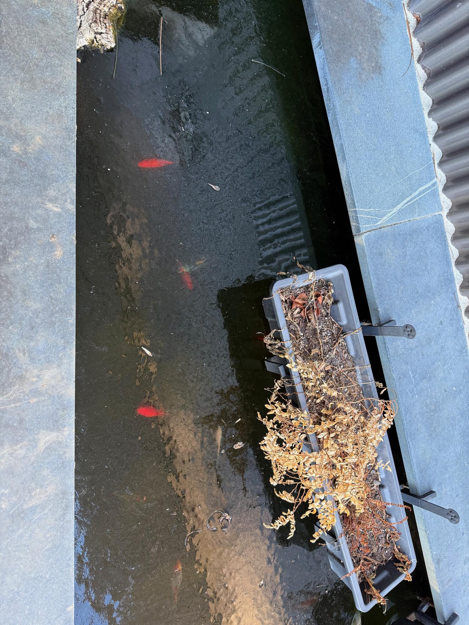 1141 Dobbins Farm Road Northeast Floyd, VA 24091 - Photo 55 of 71 1141 DF - 50