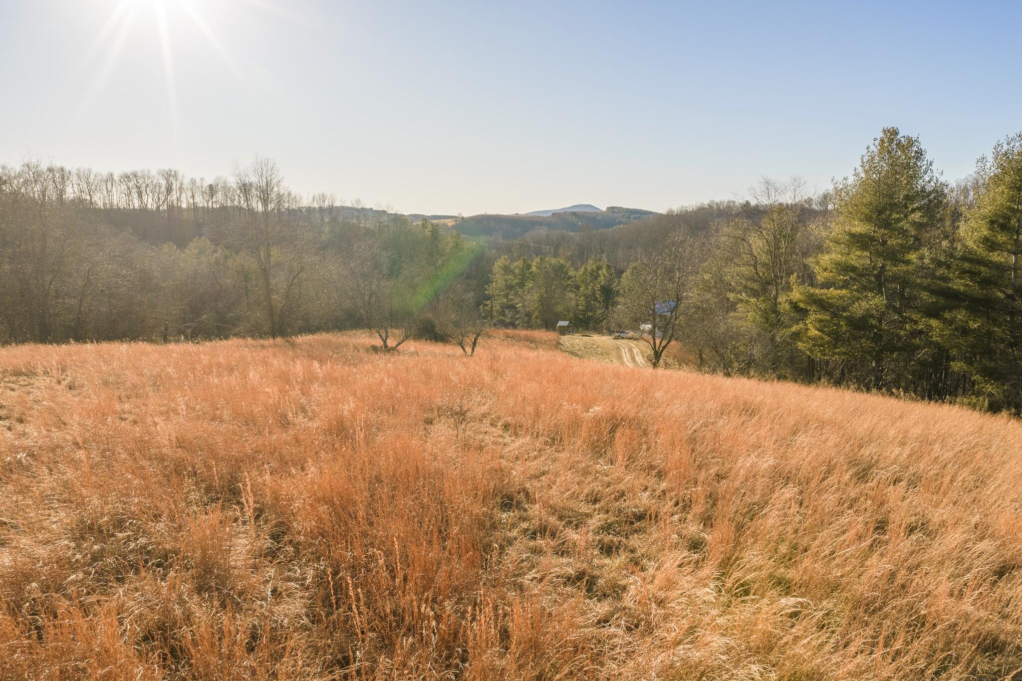 1141 Dobbins Farm Road Northeast Floyd, VA 24091 - Photo 59 of 71 1141 DF - 55