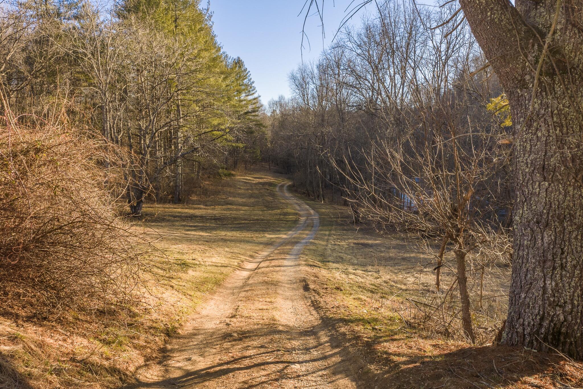 1141 Dobbins Farm Road Northeast Floyd, VA 24091 - Photo 62 of 71 1141 DF - 58