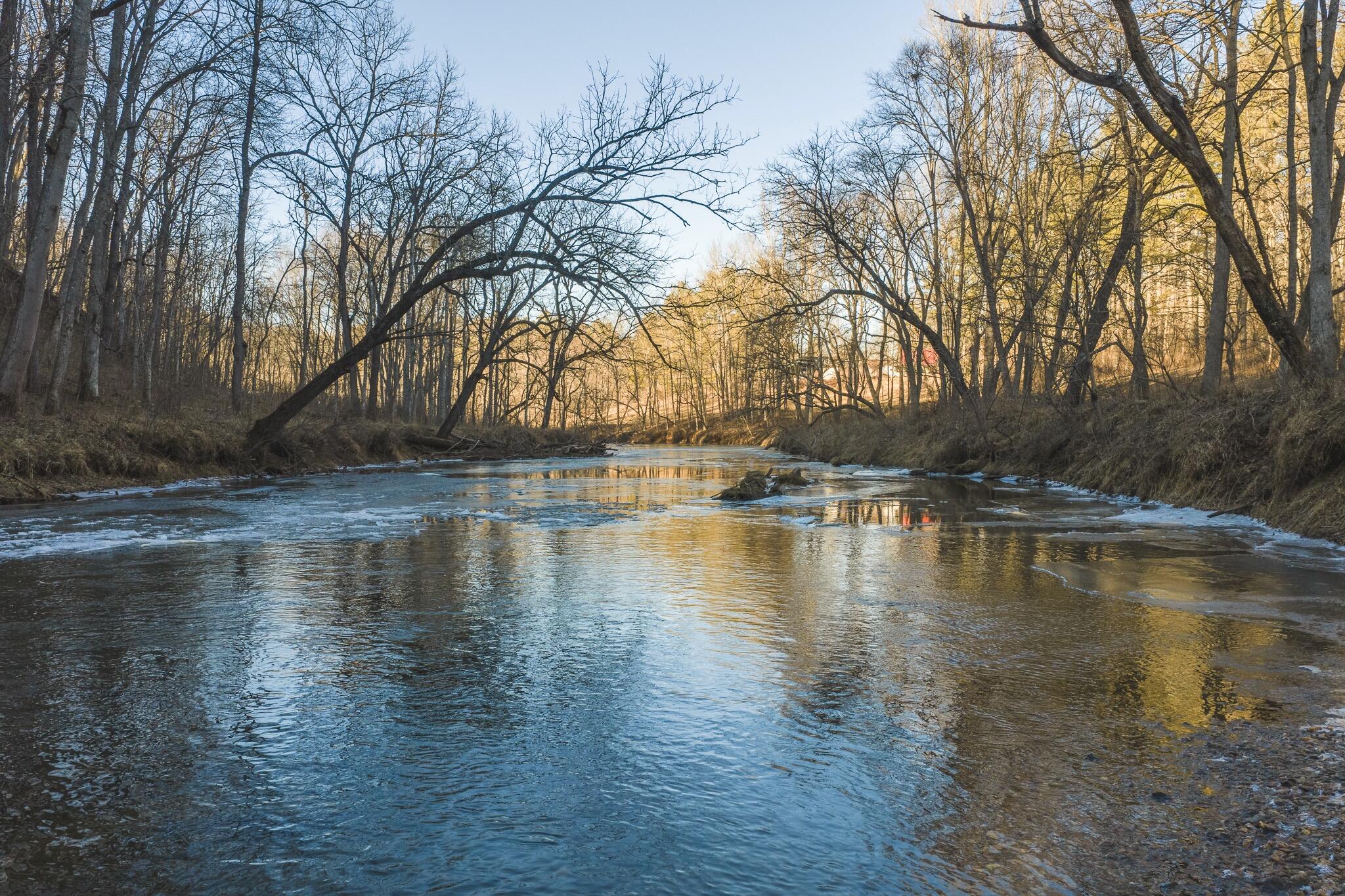 1141 Dobbins Farm Road Northeast Floyd, VA 24091 - Photo 64 of 71 1141 DF - 60