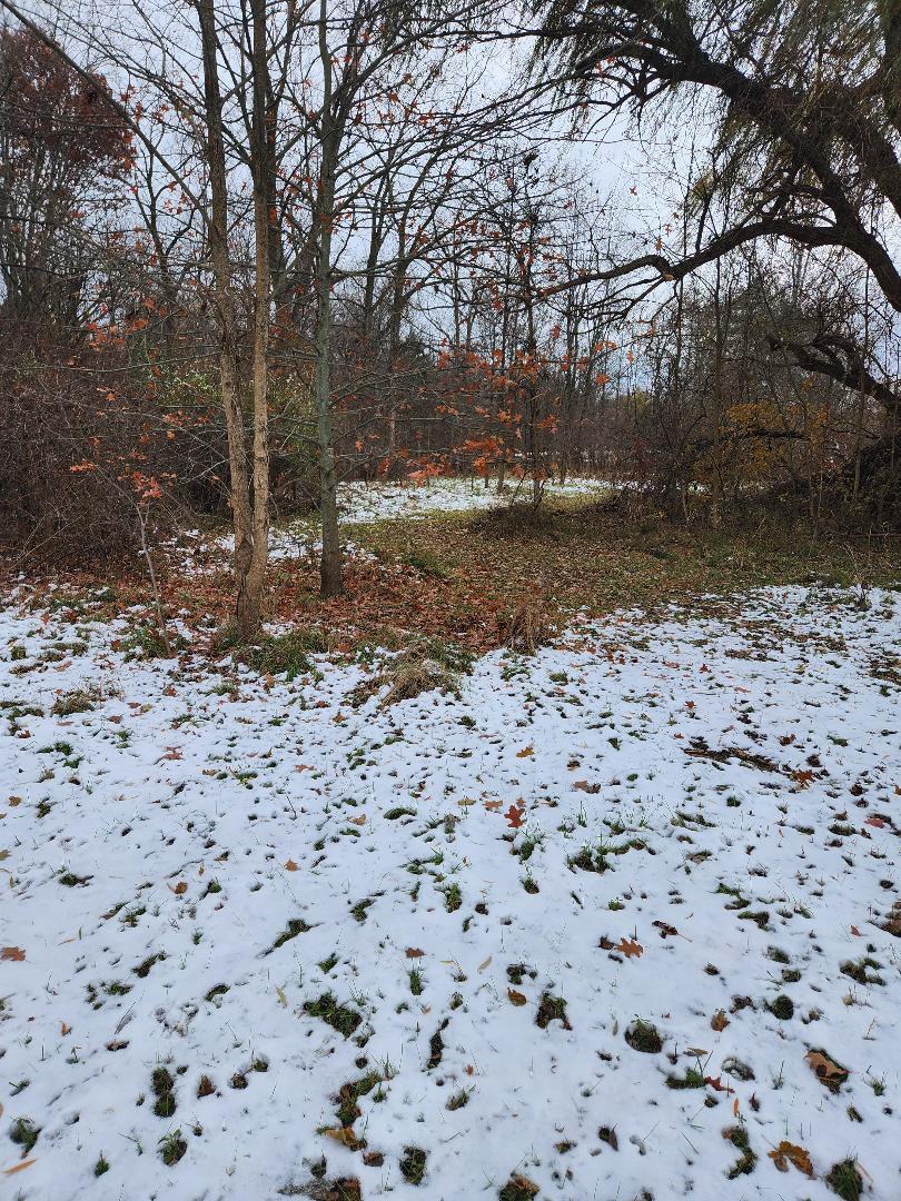 2639 Nadeau Road Monroe, MI 48162 - Photo 34 of 54 36