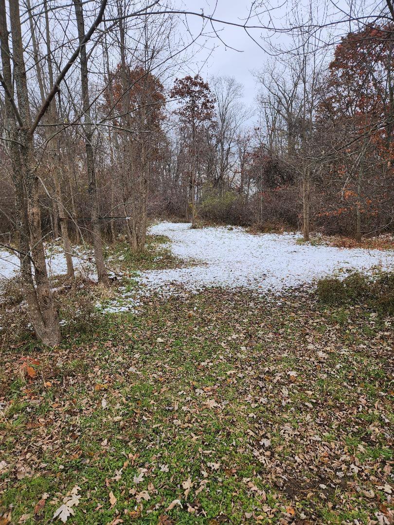 2639 Nadeau Road Monroe, MI 48162 - Photo 36 of 54 38