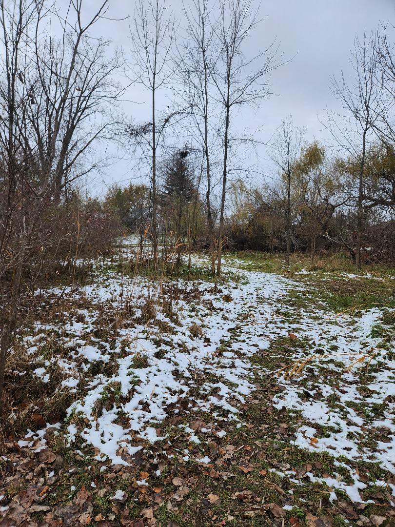 2639 Nadeau Road Monroe, MI 48162 - Photo 40 of 54 43