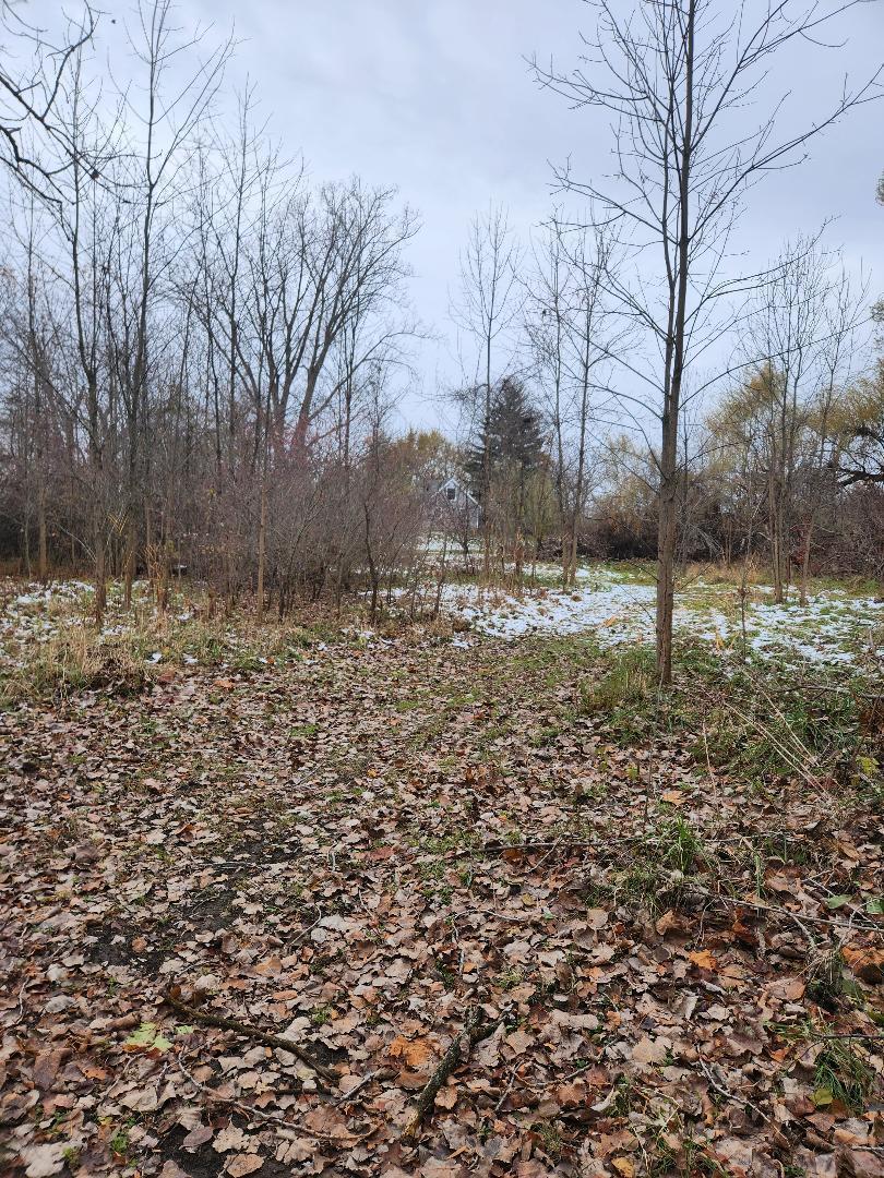 2639 Nadeau Road Monroe, MI 48162 - Photo 42 of 54 45