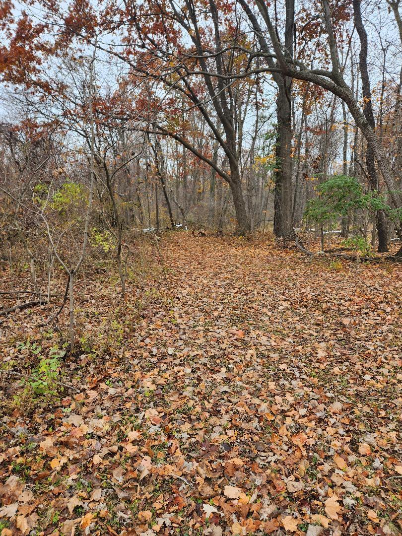 2639 Nadeau Road Monroe, MI 48162 - Photo 43 of 54 46