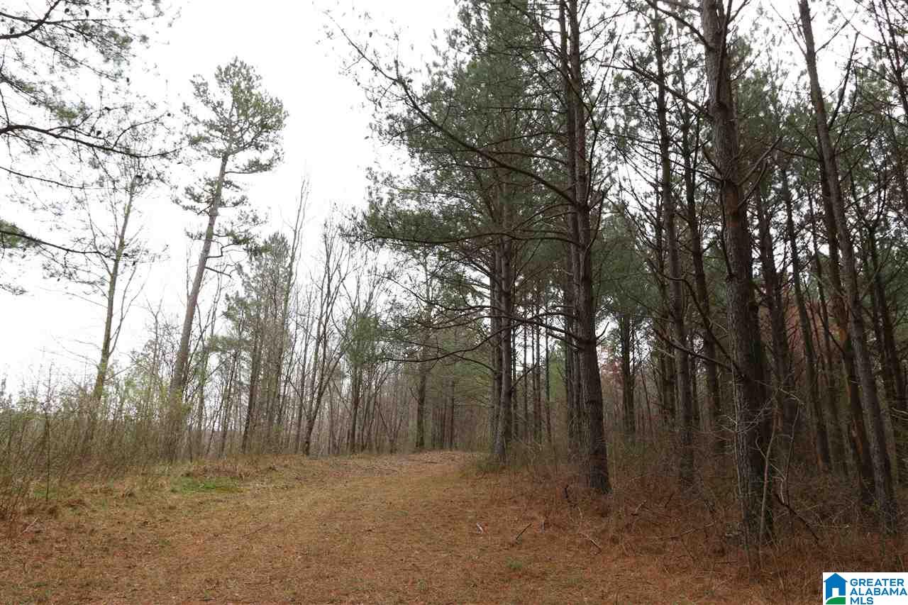 Jackson Trail, Unit 191 Oneonta, AL 35121 - Photo 9 of 40 Gallery Image 9