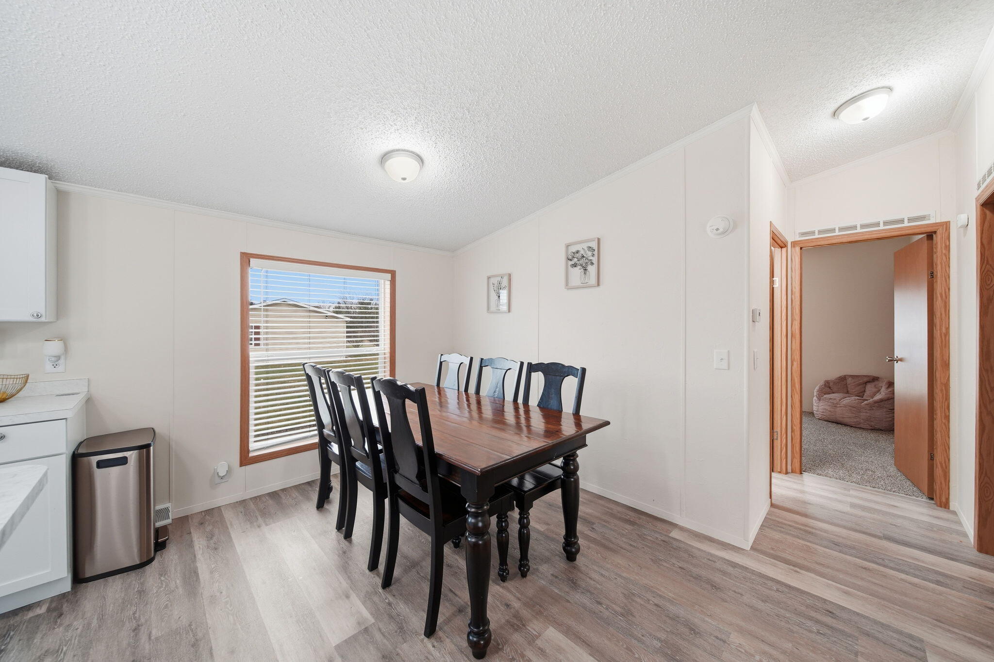 260 Storr Adrian, MI 49221 - Photo 10 of 28 12-web-or-mls-DSC01075